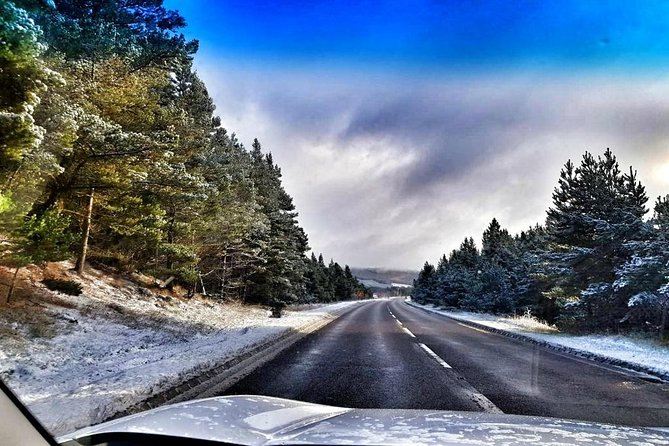 Loch Lomond & The Highlands Private Day Tour with Scottish Local - Meeting the Highland coos near the Trossachs Woollen Mill