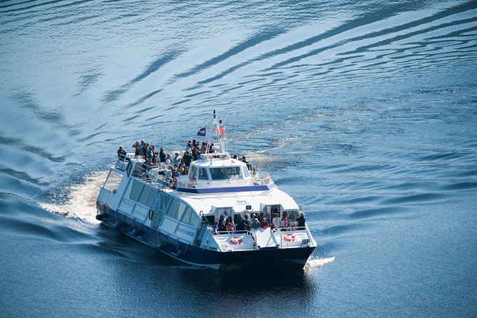 Loch Ness 1-Hour Cruise with Urquhart Castle Views - Watching for Nessie