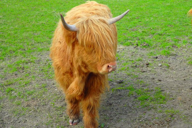 Loch Ness & Culloden Battlefield Private Tour from Inverness - Beauly lunch and a slower Highland hour