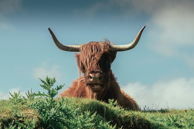 Loch Ness, Glen Coe & The Highlands Day Tour from Edinburgh - Fort William and Ben Nevis from the road