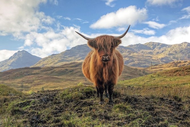 Loch Ness, Glencoe & the Highlands Guided Day Tour from Edinburgh - Urquhart Castle and the Loch Ness choice