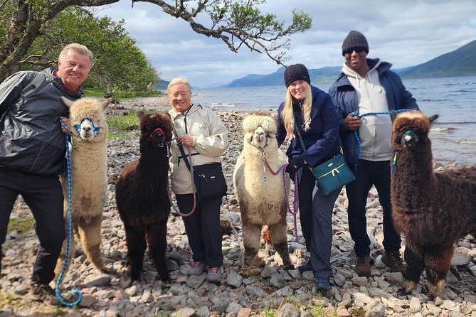 Loch Ness with Castles, Beaches, Mountains and MONSTERS - Why this Loch Ness tour works well from Invergordon