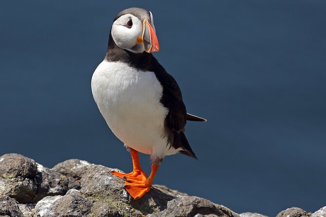 North East Coastal Trail Small Group Day Tour from Aberdeen - A full day on Aberdeenshire’s northeast coast