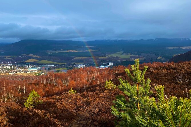 Private Cairngorm National Park tour - Key Points Before You Book