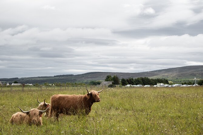 Private Full-Day Tour to the Scottish Highlands and Loch Ness - Loch Ness and Fort Augustus slow the pace