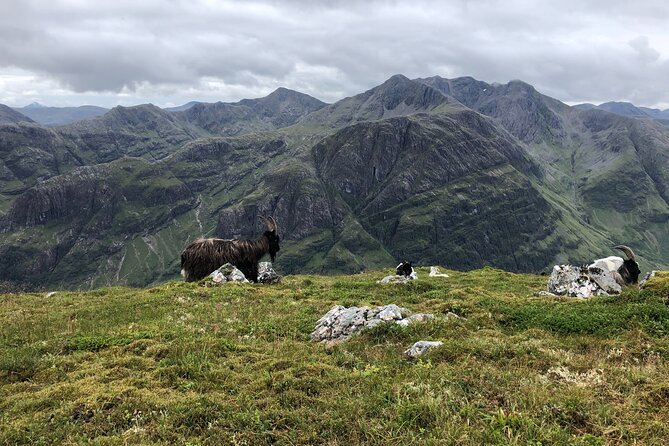 Private Guided Mountain Walking Experience in the Cairngorms - What to bring for a safe day