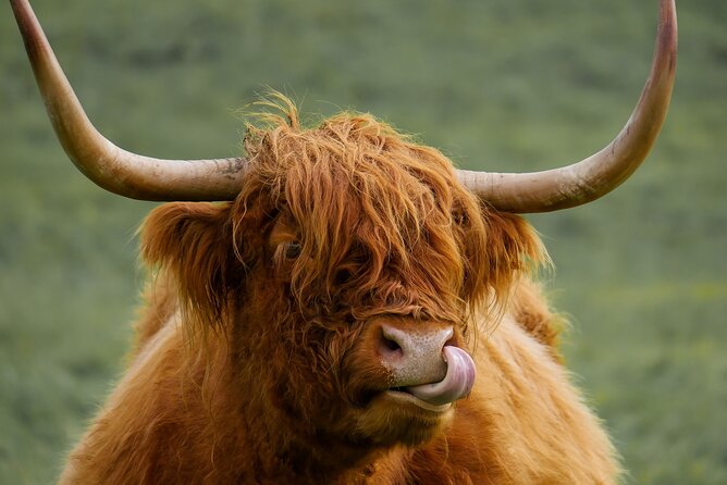 Private Luxury Mini Highlands Tour From Edinburgh - Braveheart - Callander marks the shift into the Trossachs