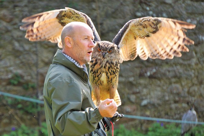 Private Luxury North Route Invergordon Shore Excursion - Dunrobin Castle, gardens and falconry