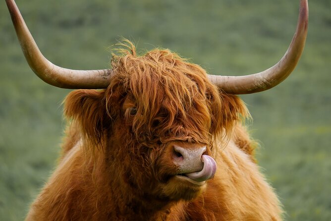Private Luxury Tour of Loch Lomond, Glencoe & The Highlands - The Forth Bridges and the Kelpies begin the day