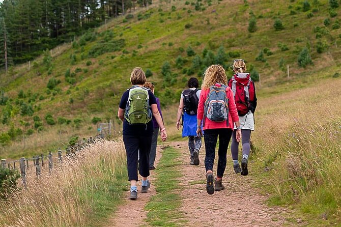 Private Mindfulness and Nature Walk in Edinburgh - Around Arthur’s Seat, not a race to the summit