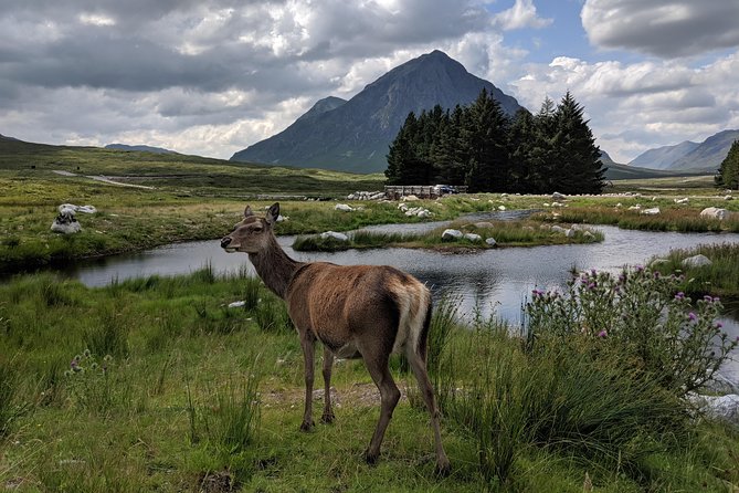 Private One Day Highlands Tour of Scotland - Balquhidder and the road into the West Highlands