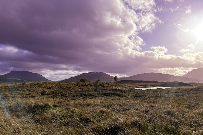 Private Tour from Oban - Highlands, Glencoe, Lochs & Castles - Castle Stalker and the return to Oban