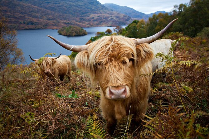 Private Tour of Loch Ness, Glencoe and Highlands from Edinburgh - Pitlochry and the road toward the Highlands
