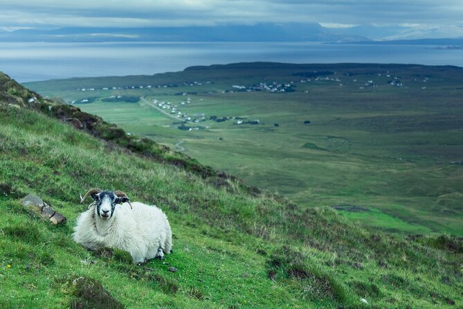Private Tour of Loch Ness, Glencoe and Highlands from Glasgow - Rannoch Moor and Loch Tulla