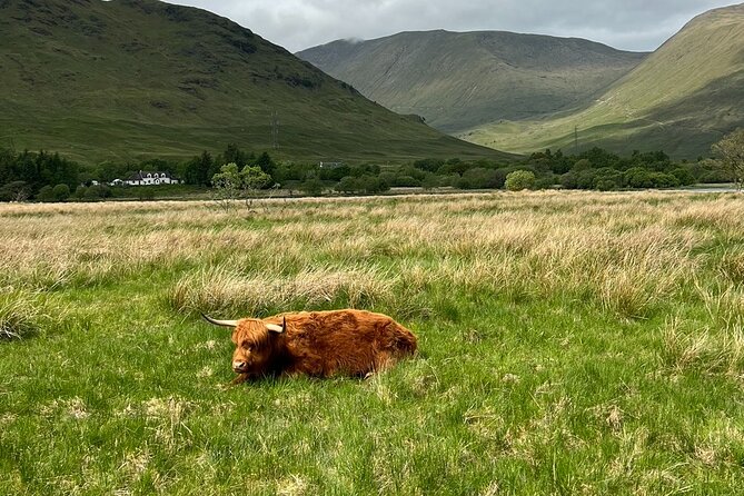 Private Tour to the Stunning Scottish Highlands & Glencoe - Inveraray and the banks of Loch Fyne