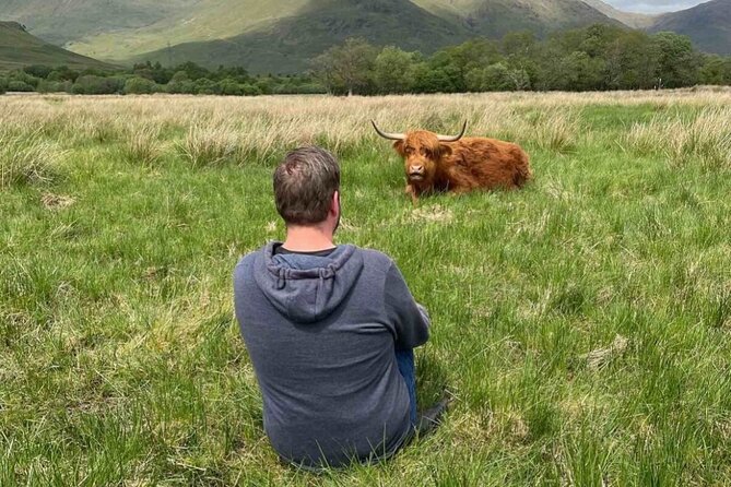 Private Tour to the Stunning Scottish Highlands & Glencoe - Kilchurn Castle and a short Highland walk