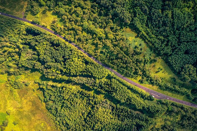 Ricky's gateway to the Highlands Tour - Forest roads and Loch Chon