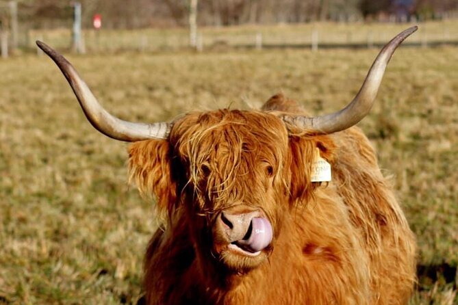 Scotland Lochs & Glens Day Tour - Callander, the Gateway to the Highlands