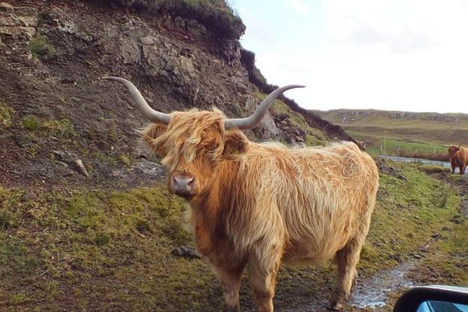 Scotland Tours - Who gets the best value from $951.25