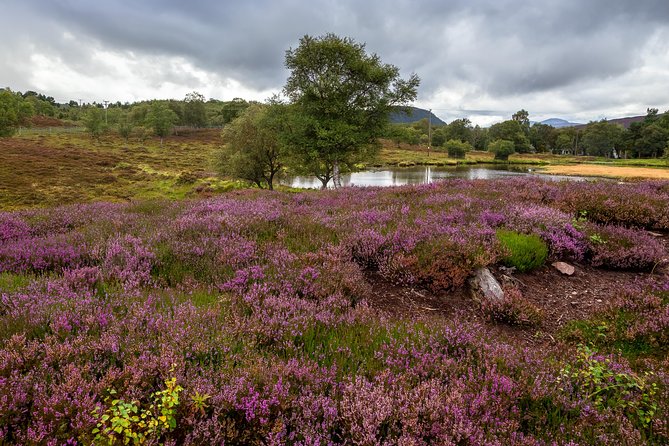 Scottish Highland Games Day Trip from Edinburgh - Bridge of Allan on August 3