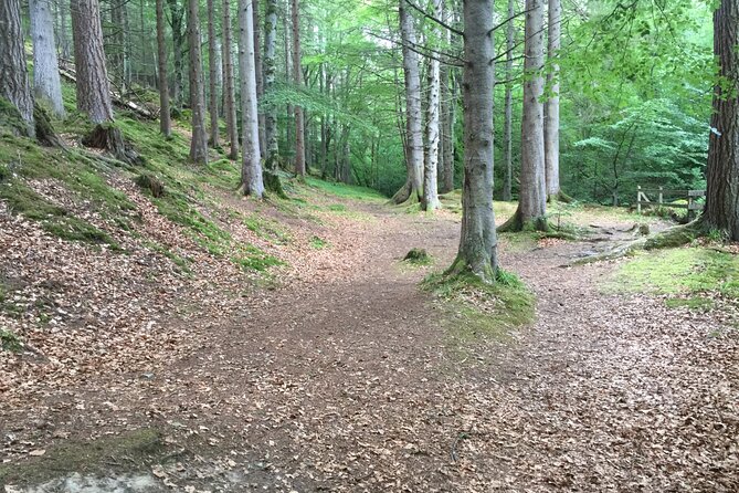 Secret Loch Ness with Cawdor Castle and Clava Cairns - A Highland route with one important booking question