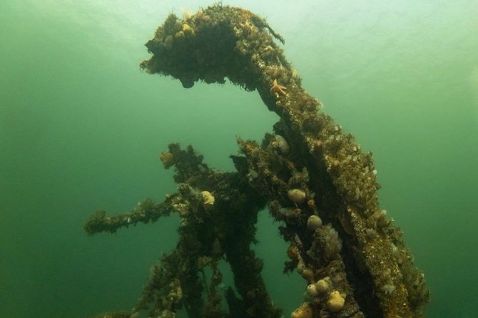 Shipwreck Hunters - A boat trip with more than one subject