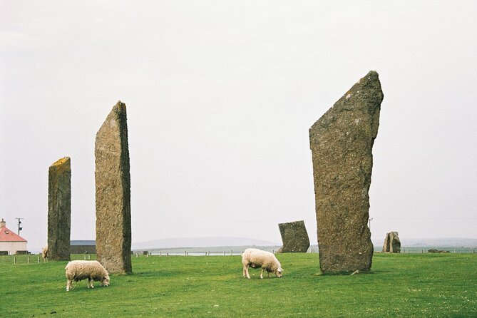 Shore Excursion Kirkwall Small Group Highlights of Orkney - Crossing the Churchill Barriers