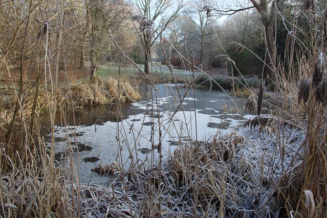 Skip-the-Line: Botanic Garden Entry Ticket - A calm corner of Dundee with room to roam