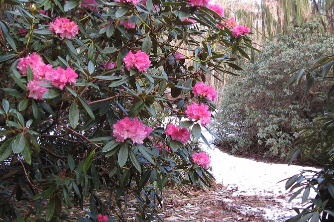 Skip-the-Line: Botanic Garden Entry Ticket - Is the $6.89 ticket good value?