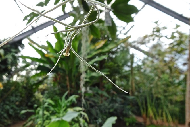 Skip-the-Line: Botanic Garden Entry Ticket - What your two-hour visit looks like