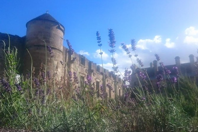 St Andrews, Falkland and Fife Villages Tour from Edinburgh - Leaving Edinburgh for the Forth bridges