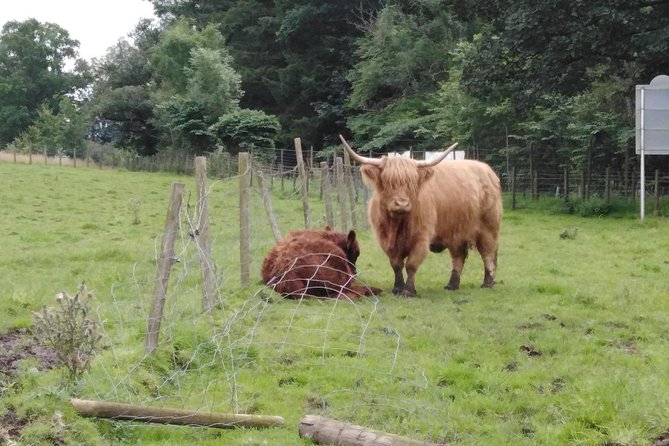 Stirling Castle, Hairy Coo's & The Trossachs - The Kelpies: huge horses with an old warning behind them