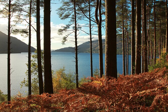 Stirling Castle, Loch Lomond and Cruise Day Tour from Glasgow - Who will enjoy this tour most