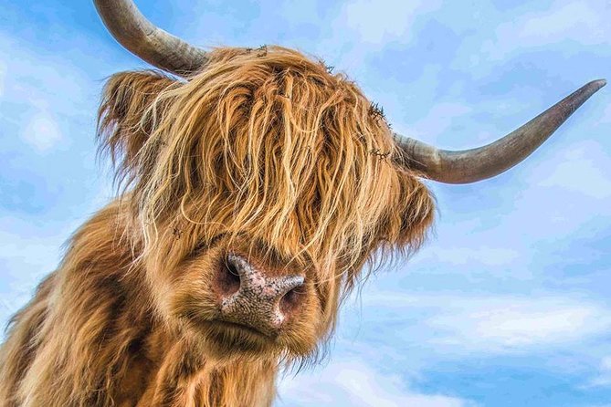 Stirling Castle Loch Lomond and Trossachs National Park day tour - Key things to know before booking