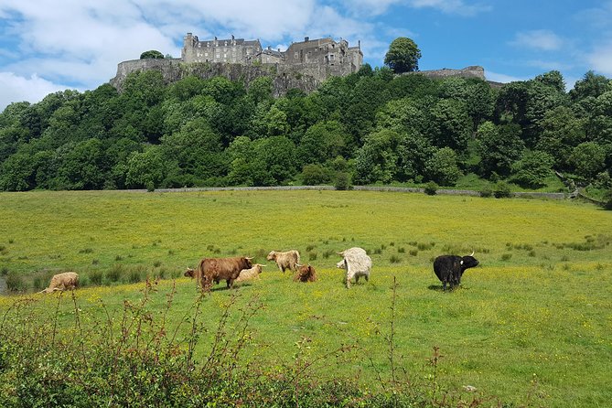 Stirling Castle, Trossachs and Loch Lomond Shore Excursion - What the $154.23 price really gives you