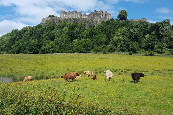Stirling Castle, Trossachs, Loch Lomond and Whisky Tour - Ninety minutes inside Stirling Castle