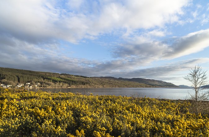 The Complete Loch Ness Experience Small-Group Day Tour from Inverness - Invermoriston brings forest, falls, and old stonework