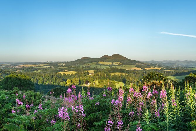 The Scottish Borders Full-Day Private Tour in a Luxury Minivan with Local Guide - The private minivan and the guide’s role